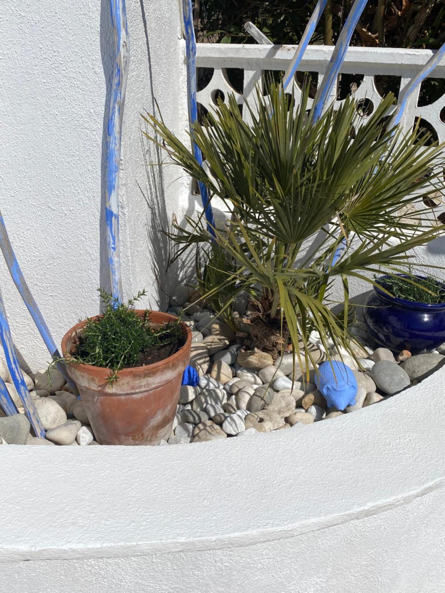 Bungalow Steps From Moraira Teulada Exterior foto